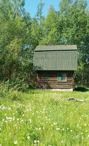 снт Агат Дмитровский городской округ фото