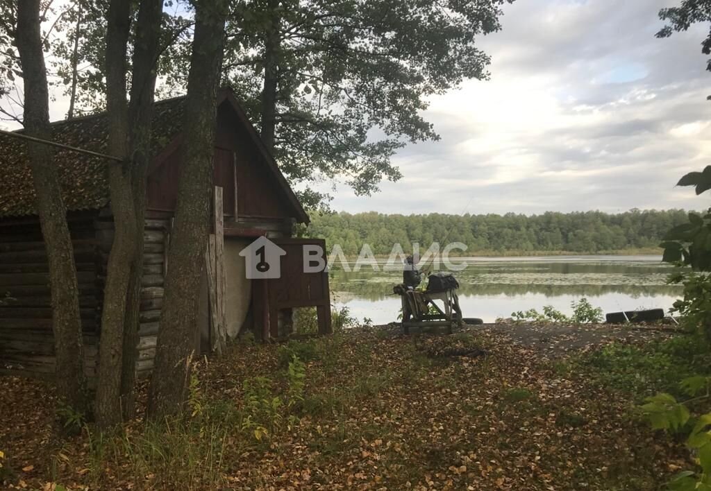 земля городской округ Павловский Посад д Кузнецы ул Новая Большое Буньково фото 9