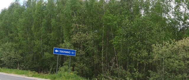 земля д Текунино Глебовское сельское поселение, Волга фото