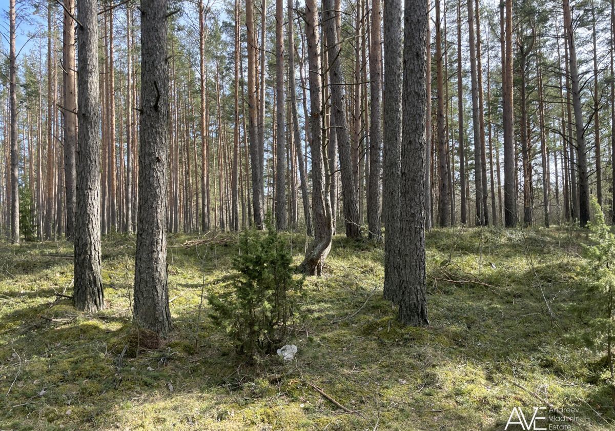 земля р-н Всеволожский д Гарболово Куйвозовское сельское поселение фото 1