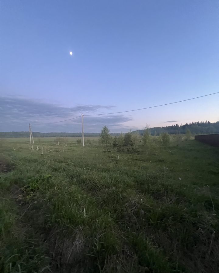 земля городской округ Рузский д Васильевское Тучково фото 4