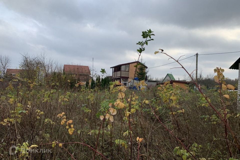 земля р-н Зеленоградский садовое товарищество Строитель фото 1