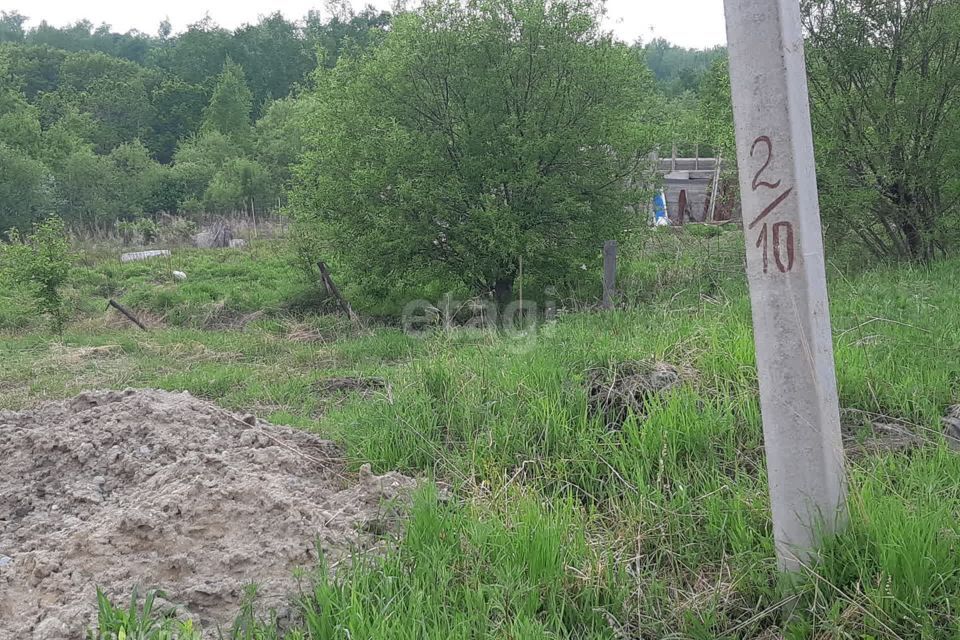 земля г Благовещенск с Плодопитомник ул Дорожников 16 городской округ Благовещенск фото 3