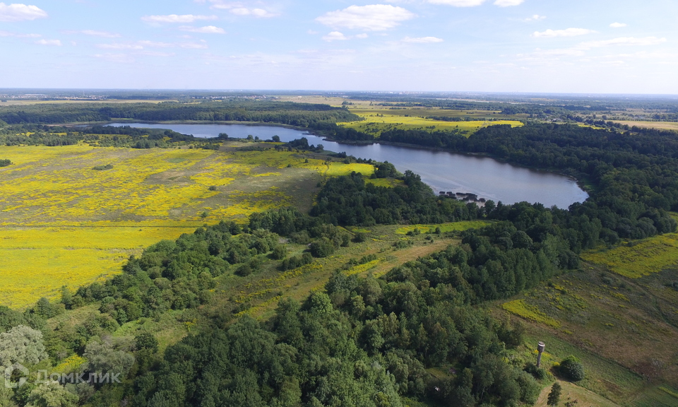 земля р-н Зеленоградский п Павлинино ул Цветочная фото 1