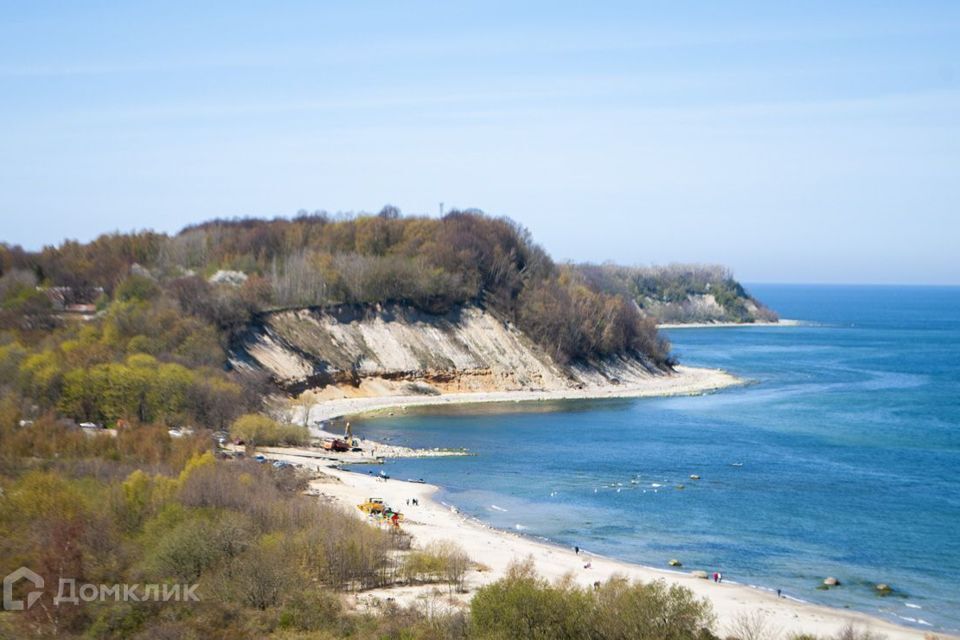 земля р-н Светлогорский п Молодогвардейское СНТ Маяк фото 3