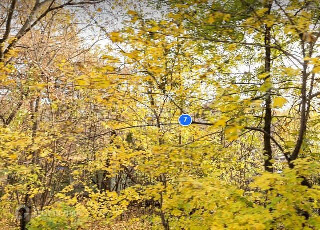 р-н Центральный дом 7 городской округ Воронеж фото