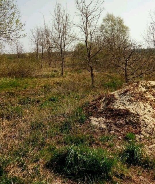 земля р-н Нестеровский г Нестеров посёлок Свободное фото 2