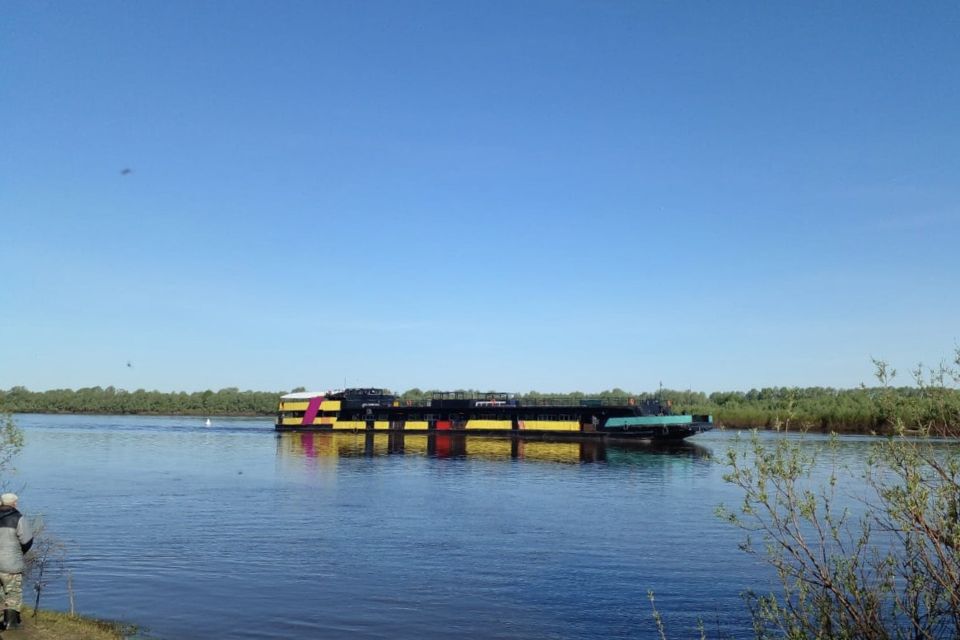 земля г Выкса рп Досчатое городской округ Выкса, садовые участки Лужки фото 3