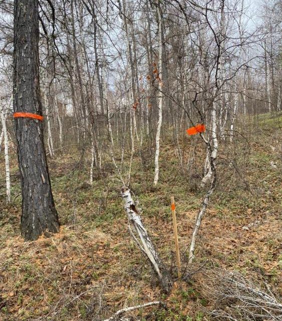 земля г Якутск тракт Вилюйский городской округ Якутск фото 3