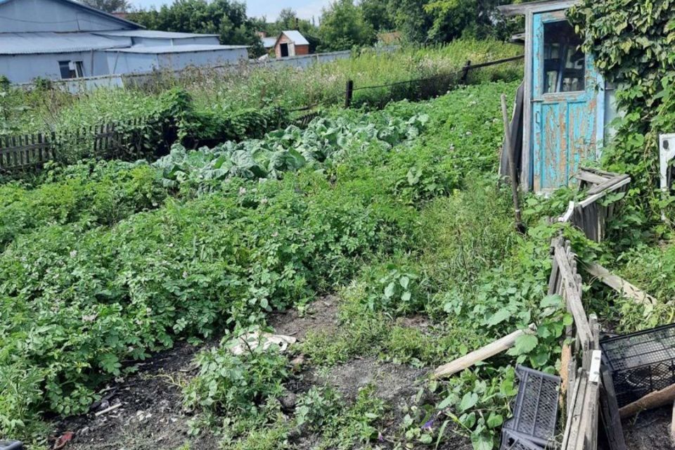 дом р-н Поспелихинский с Поспелиха ул Первомайская 59 Поспелихинский Центральный сельсовет фото 2