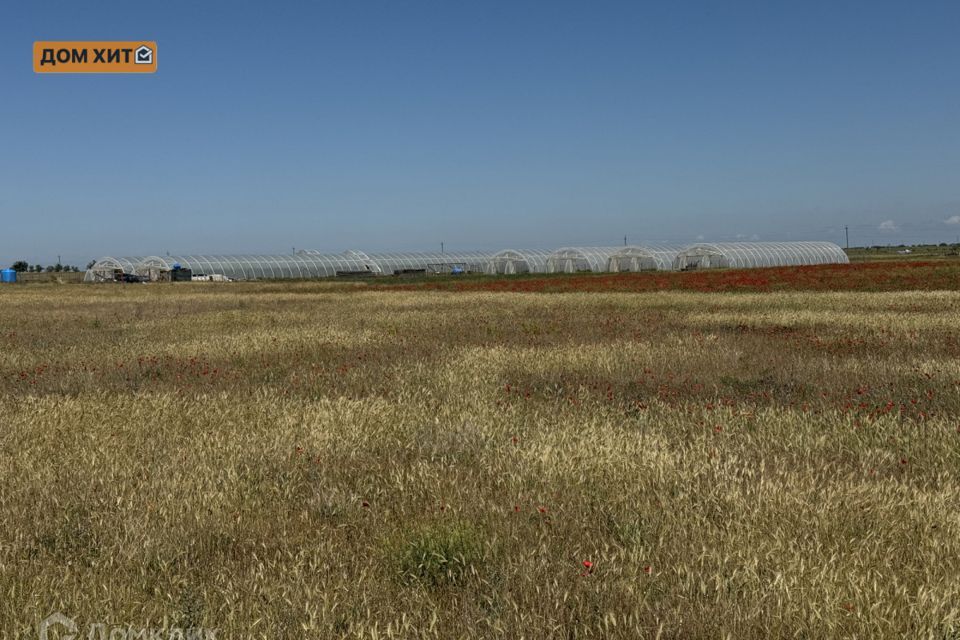 земля р-н Сакский село Уютное фото 2