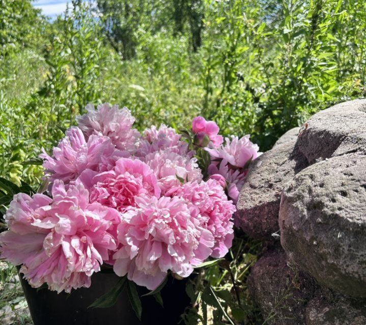 дом г Калининград р-н Центральный снт Дружба-2 проезд Озерный городской округ Калининград фото 7