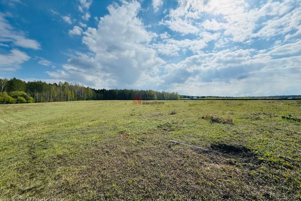 земля р-н Тюменский село Кулига фото 4