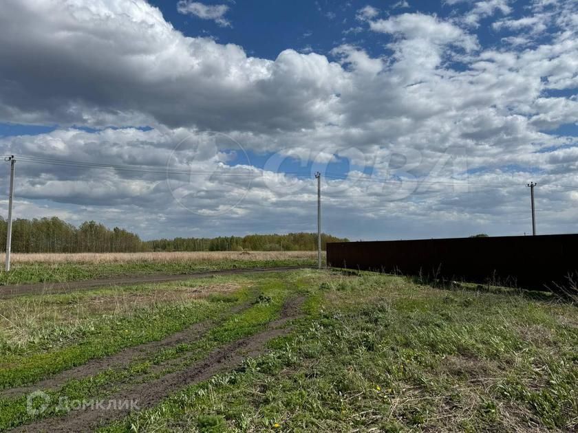 земля р-н Тюменский деревня Большие Акияры фото 3