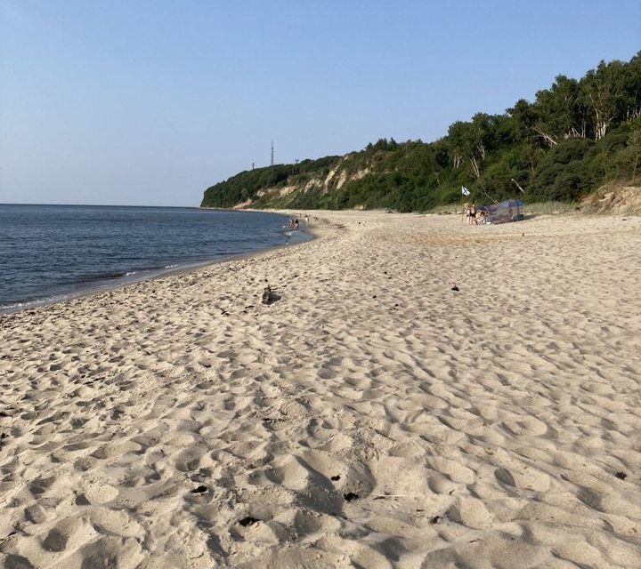 земля р-н Светлогорский п Молодогвардейское СНТ Маяк фото 6