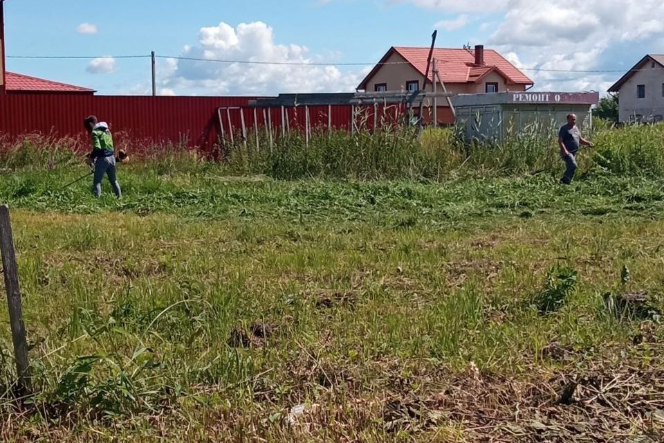 земля р-н Зеленоградский п Сиренево ул Рассветная фото 10