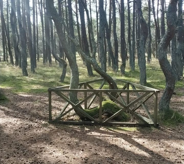 дом пгт Янтарный снт Садовник Янтарный городской округ фото 10