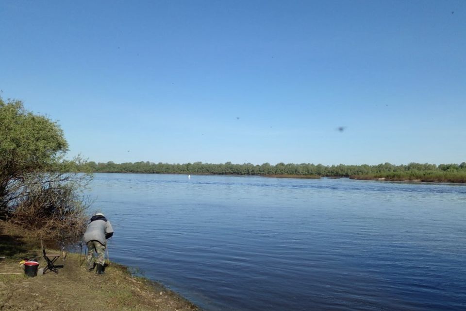 земля г Выкса рп Досчатое городской округ Выкса, садовые участки Лужки фото 5