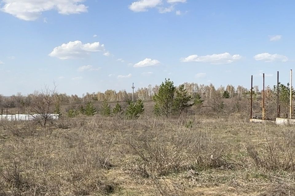 земля г Южноуральск ул Тенистая городской округ Южноуральск фото 5