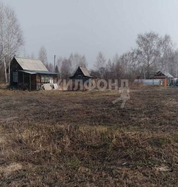 земля р-н Колыванский садовое некоммерческое товарищество Инструментальщик-2 фото 5