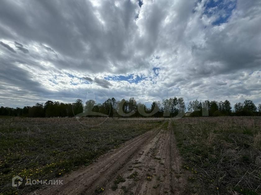 земля р-н Тюменский деревня Большие Акияры фото 7