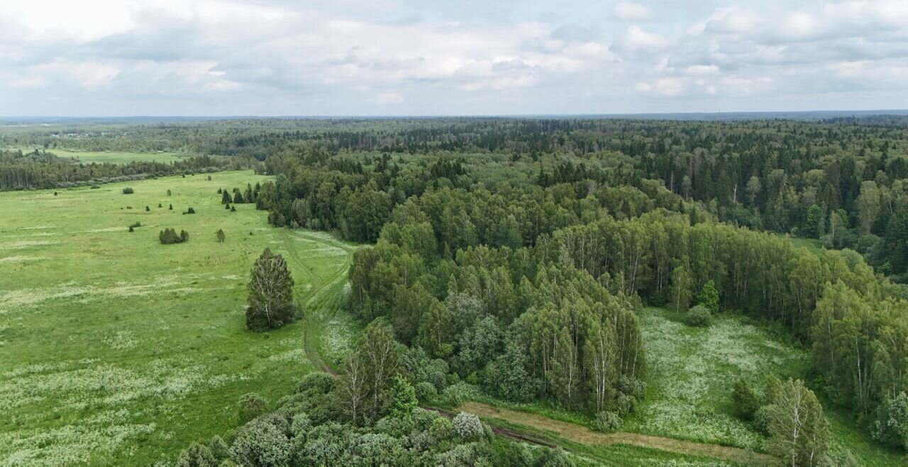 земля городской округ Истра п Красная Горка ул Парковая 22 Истра фото 5