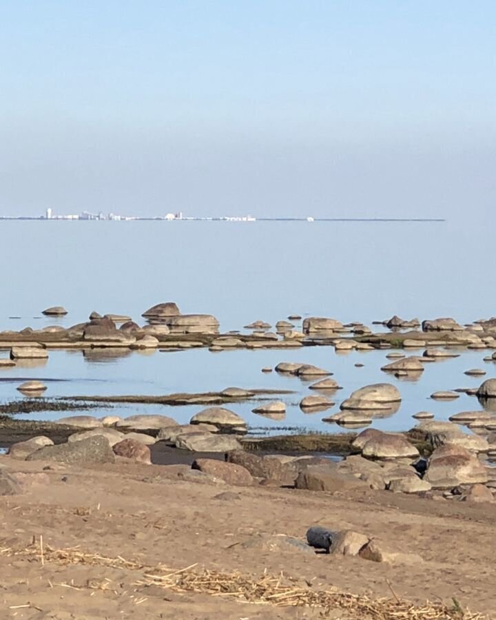 земля г Санкт-Петербург п Молодежное ул Почтовая р-н Курортный фото 6