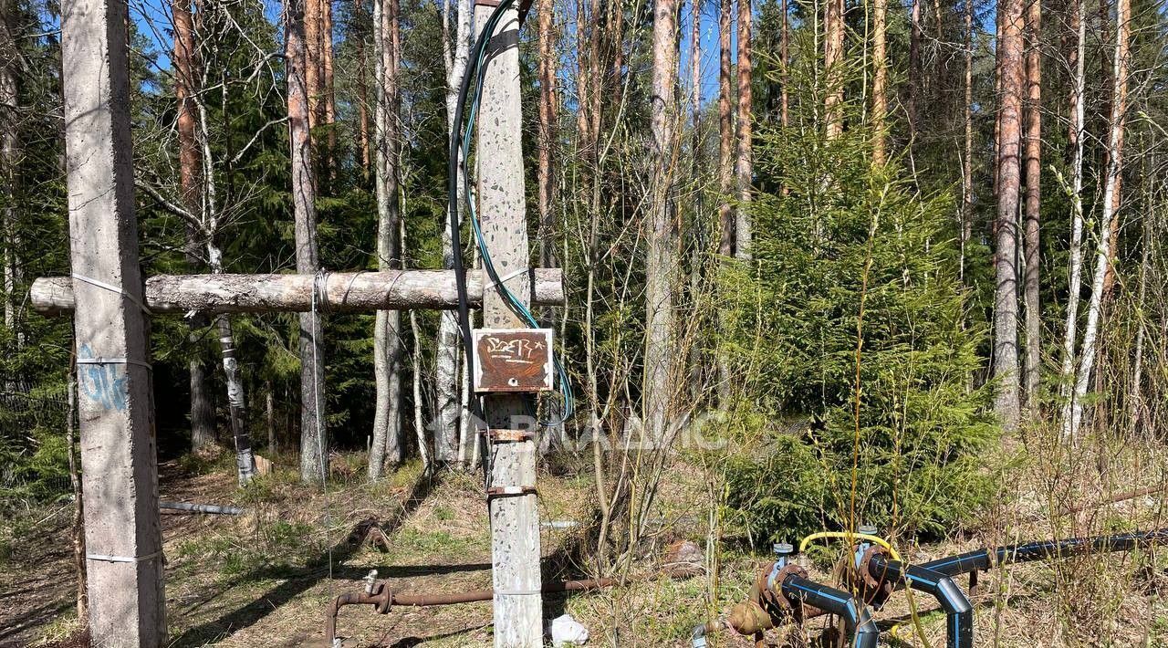 земля р-н Выборгский Рощинское городское поселение, Актер СНТ, ул. Прогулочная, 187 фото 10