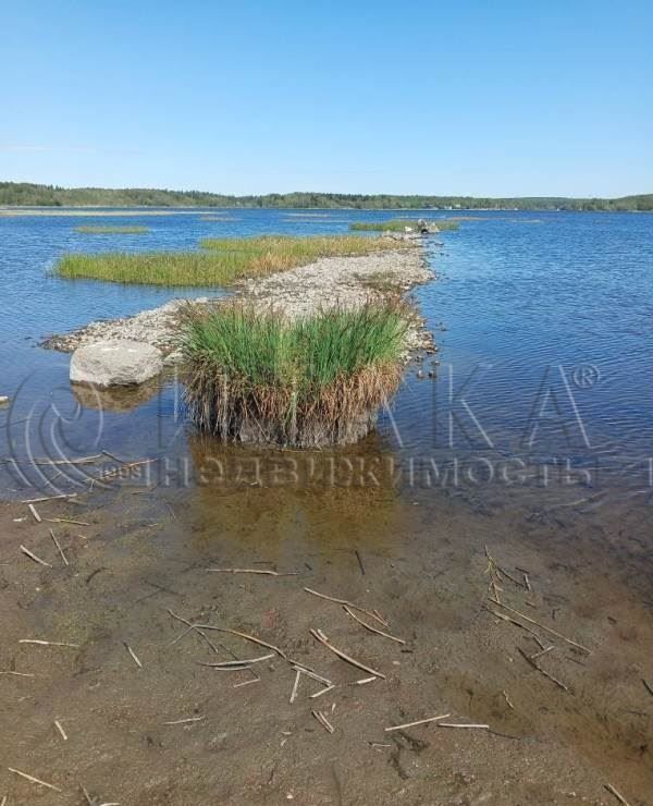 земля р-н Выборгский г Выборг ш Калининское Выборгское городское поселение фото 22