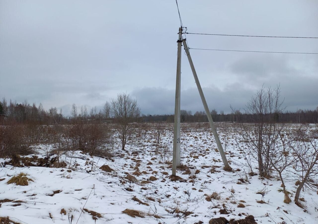 земля р-н Псковский д Ложнево Псков, Ядровская волость фото 6