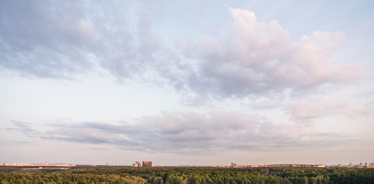 квартира г Москва метро Говорово № 3 кв-л, Движение. Говорово жилой комплекс, к 1 фото 27