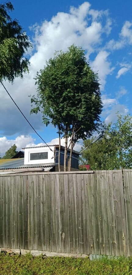 земля городской округ Клин г. о. Клин, Высоковск, садовое товарищество Высокое фото 4