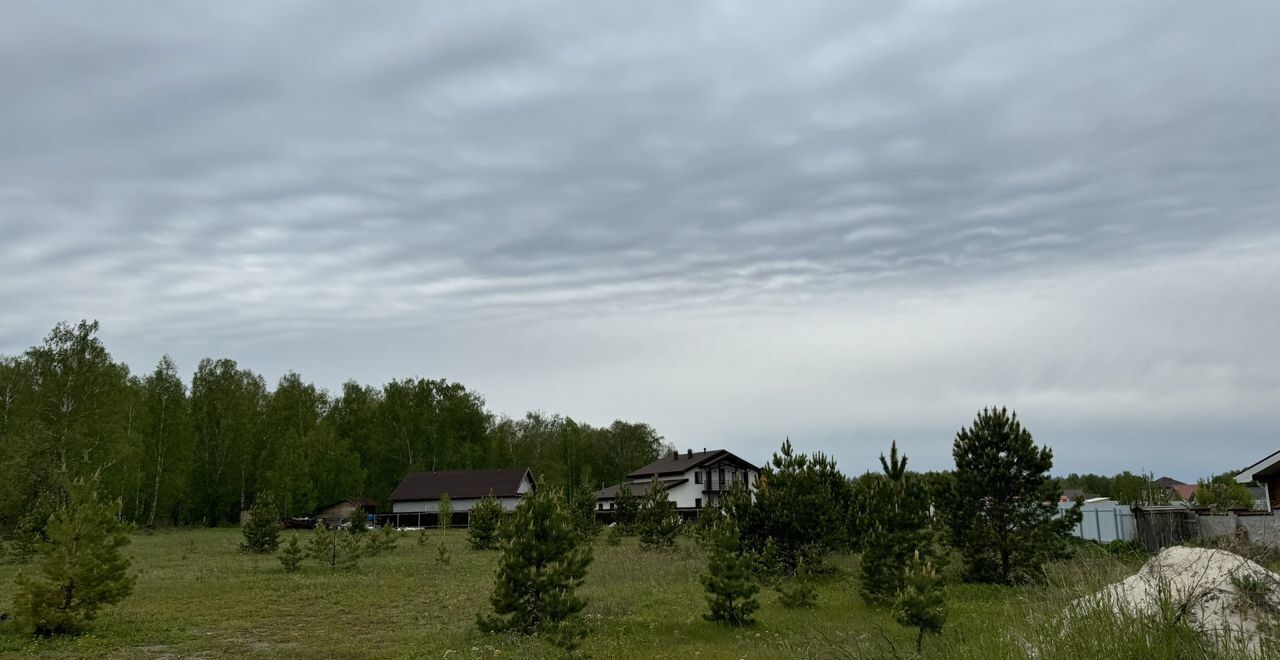 земля р-н Тюменский коттеджный пос. Новокаменский, ул. Васнецова, Тюмень фото 7