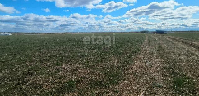 земля муниципальное образование Выльгорт фото