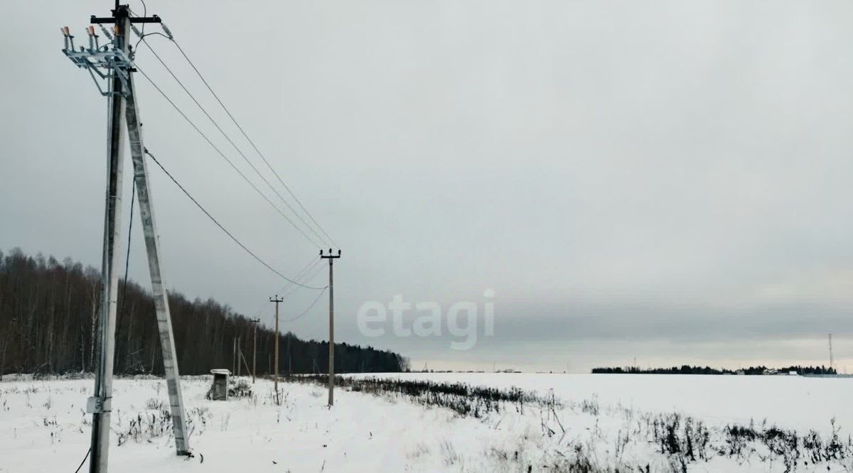 земля р-н Пермский д Скобелевка фото 2