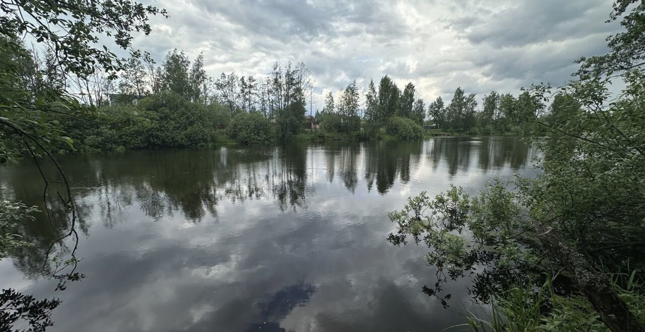 земля городской округ Дмитровский д Степаново 9763 км, 37, Электросталь, Носовихинское шоссе фото 10