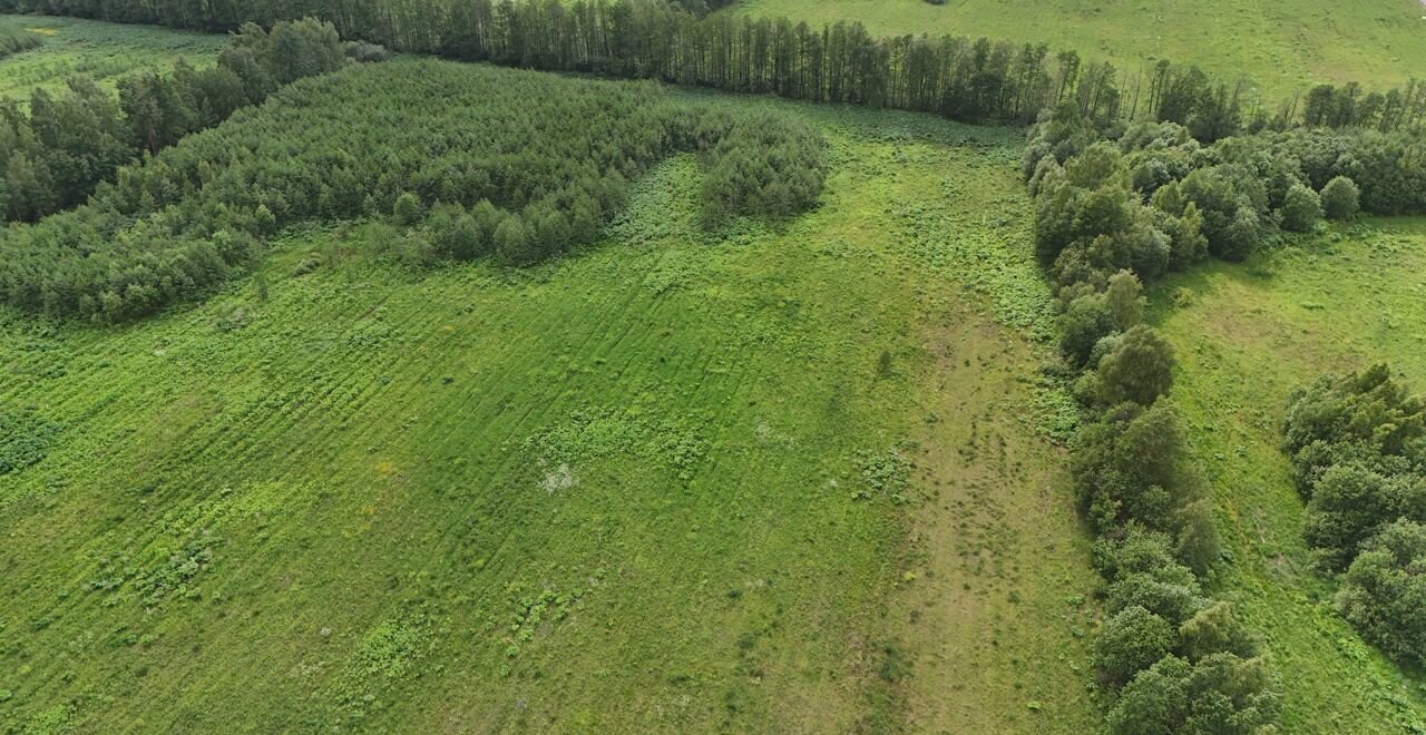 земля городской округ Дмитровский д Степаново 9763 км, 37, Электросталь, Носовихинское шоссе фото 21