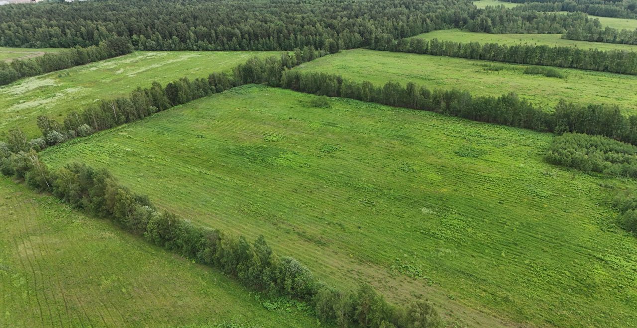 земля городской округ Дмитровский д Степаново 9763 км, 37, Электросталь, Носовихинское шоссе фото 24