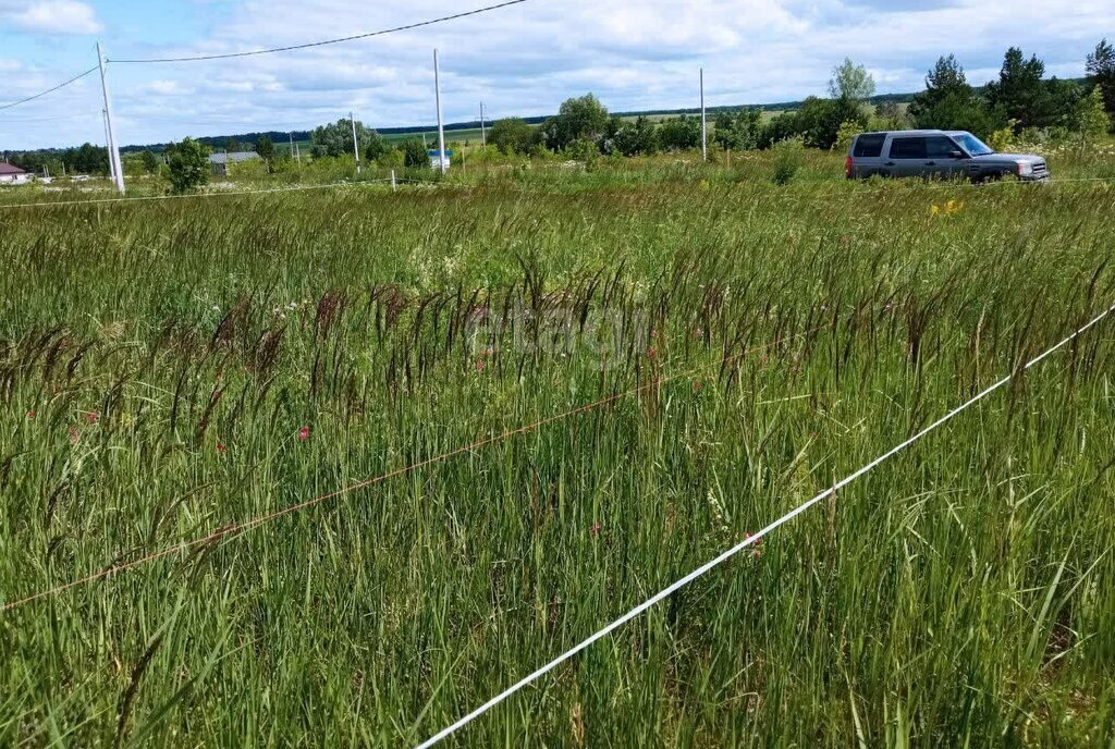 земля г Ульяновск р-н Заволжский ул Васильковая СТ Лесной фото 12