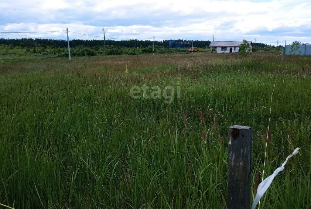 земля г Ульяновск р-н Заволжский ул Васильковая СТ Лесной фото 13