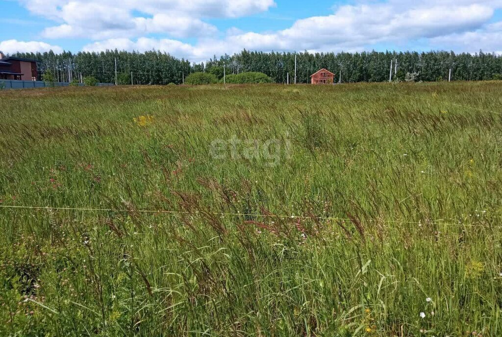 земля г Ульяновск р-н Заволжский ул Васильковая СТ Лесной фото 22