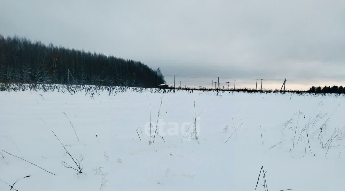 земля р-н Пермский д Скобелевка фото 5