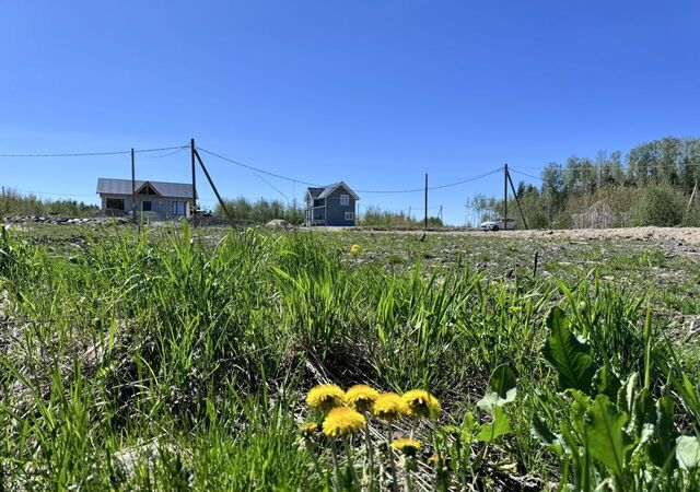 г Петрозаводск Древлянка пр-д Черничный фото