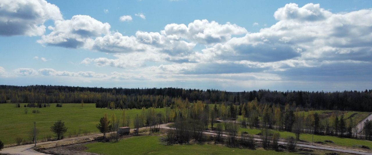 земля р-н Всеволожский Рахьинское городское поселение, Усадьба в Ириновке-2 кп фото 2