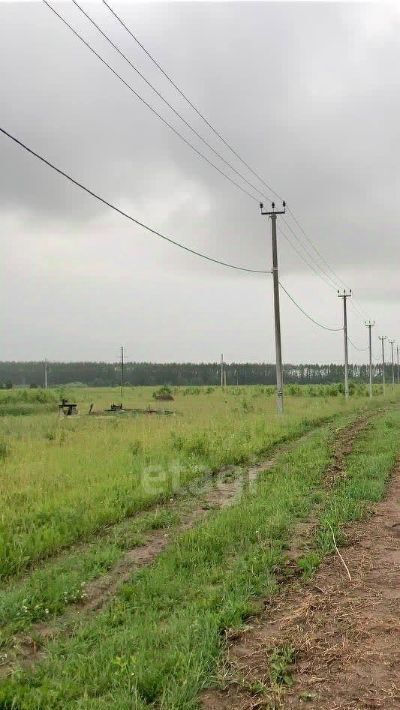 земля р-н Завьяловский д Новая Казмаска ул Ольховая фото 5