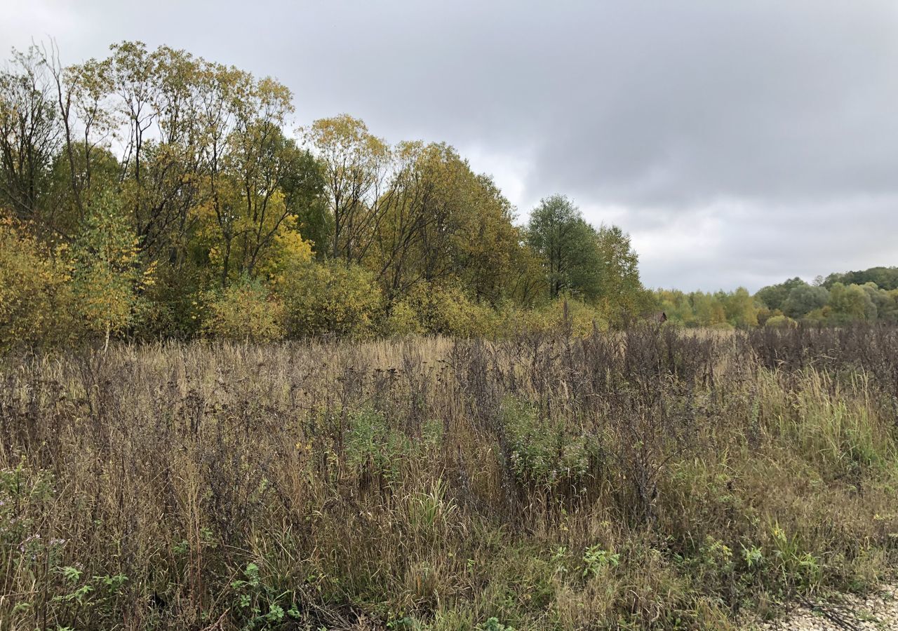 земля городской округ Серпухов д Дернополье г. о. Серпухов, Оболенск фото 4