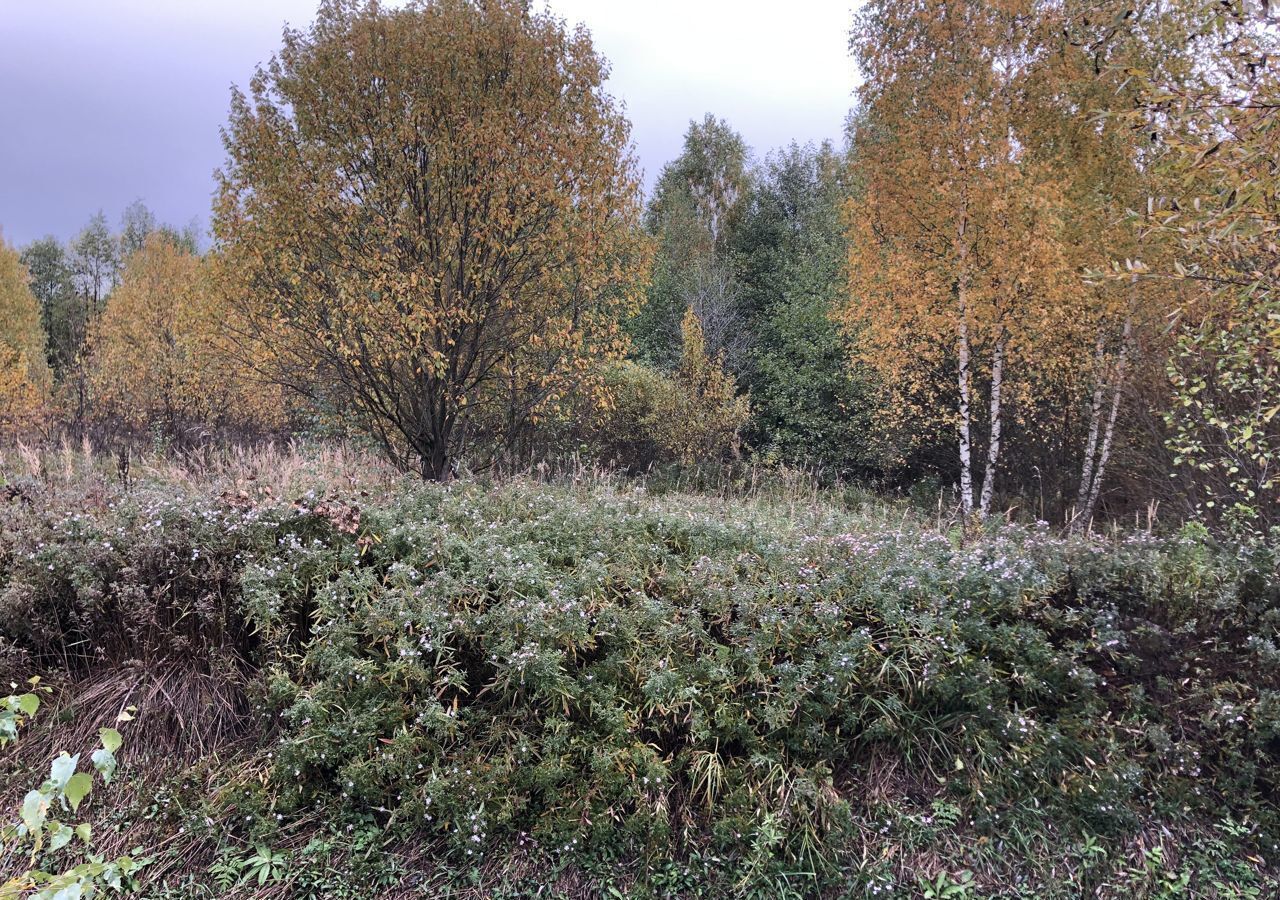 земля городской округ Серпухов д Дернополье г. о. Серпухов, Оболенск фото 9