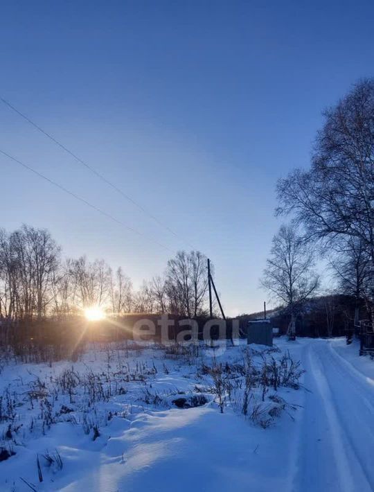 земля р-н Елизовский г Елизово Елизовское городское поселение, Елизовский р-н фото 8