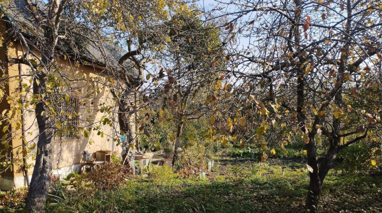 дом г Калининград р-н Ленинградский снт Победа ул Яблочная СНТ Победа фото 17