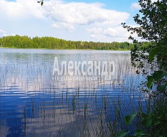 г Лахденпохья ул Малиновского 10 фото